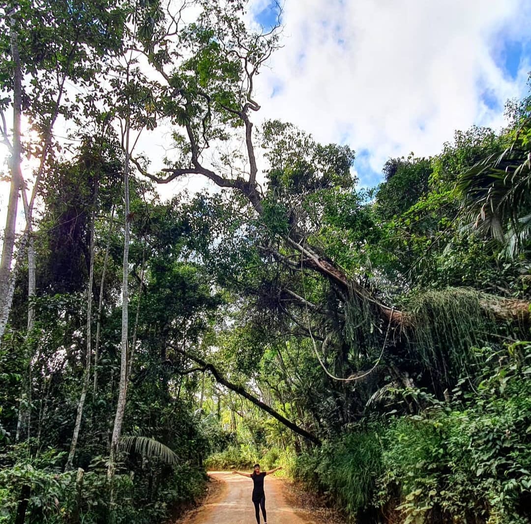 Vida na natureza